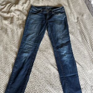 American Eagle Outfitters Blue Skinny Jeans
